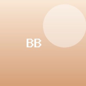 Bajan Brands Co.